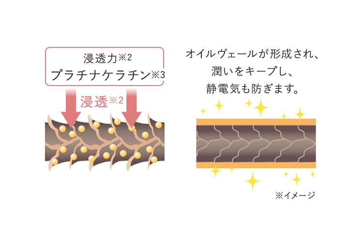 ファーストプレミアムクリーム ファーストプレミアムクリーム