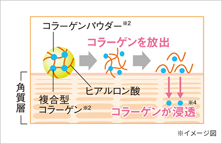 潤いを保ち、化粧崩れを防ぐ