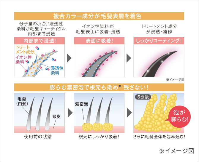 膨らむ濃密泡で自然にムラなく染まる