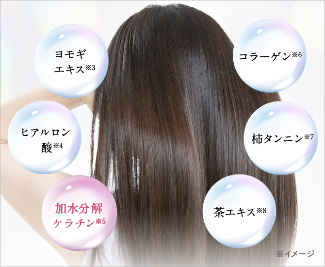 スカルプナノシャンプー｜パーフェクトワン ヘアネスト｜≪公式≫新