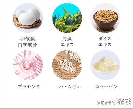 卵殻膜由来成分※1 海藻エキス※3 ダイズエキス※2 リデンシル※4 プラセンタ※5 ハトムギ※6 コラーゲン※7 リピジュア※8 | ※イメージ