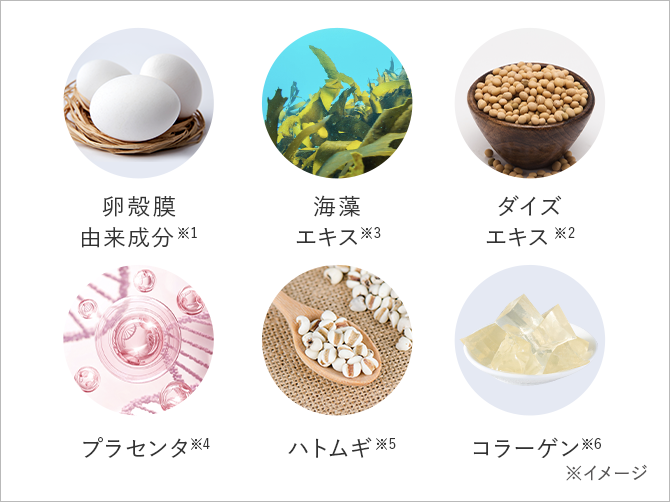 スカルプナノエッセンス｜パーフェクトワン ヘアネスト｜≪公式≫新日本製薬オンラインショップ
