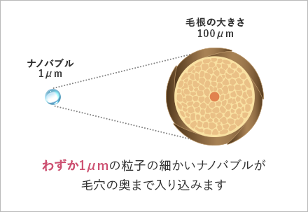 図解：わずか1μmの粒子の細かいナノバブルが毛穴の奥まで入り込みます