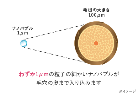 図解：わずか1μmの粒子の細かいナノバブルが毛穴の奥まで入り込みます