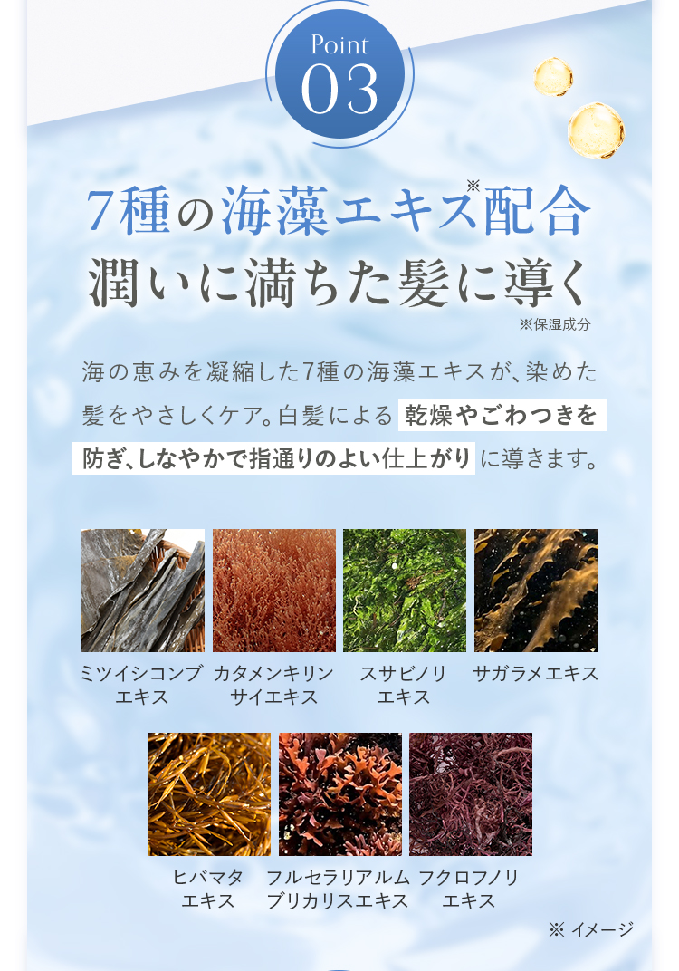 Point03 7種の海藻エキス配合 潤いに満ちた髪に導く