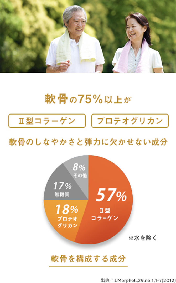 軟骨の75%以上がII型コラーゲン・プロテオグリカン 軟骨のしなやかさと弾力に欠かせない成分