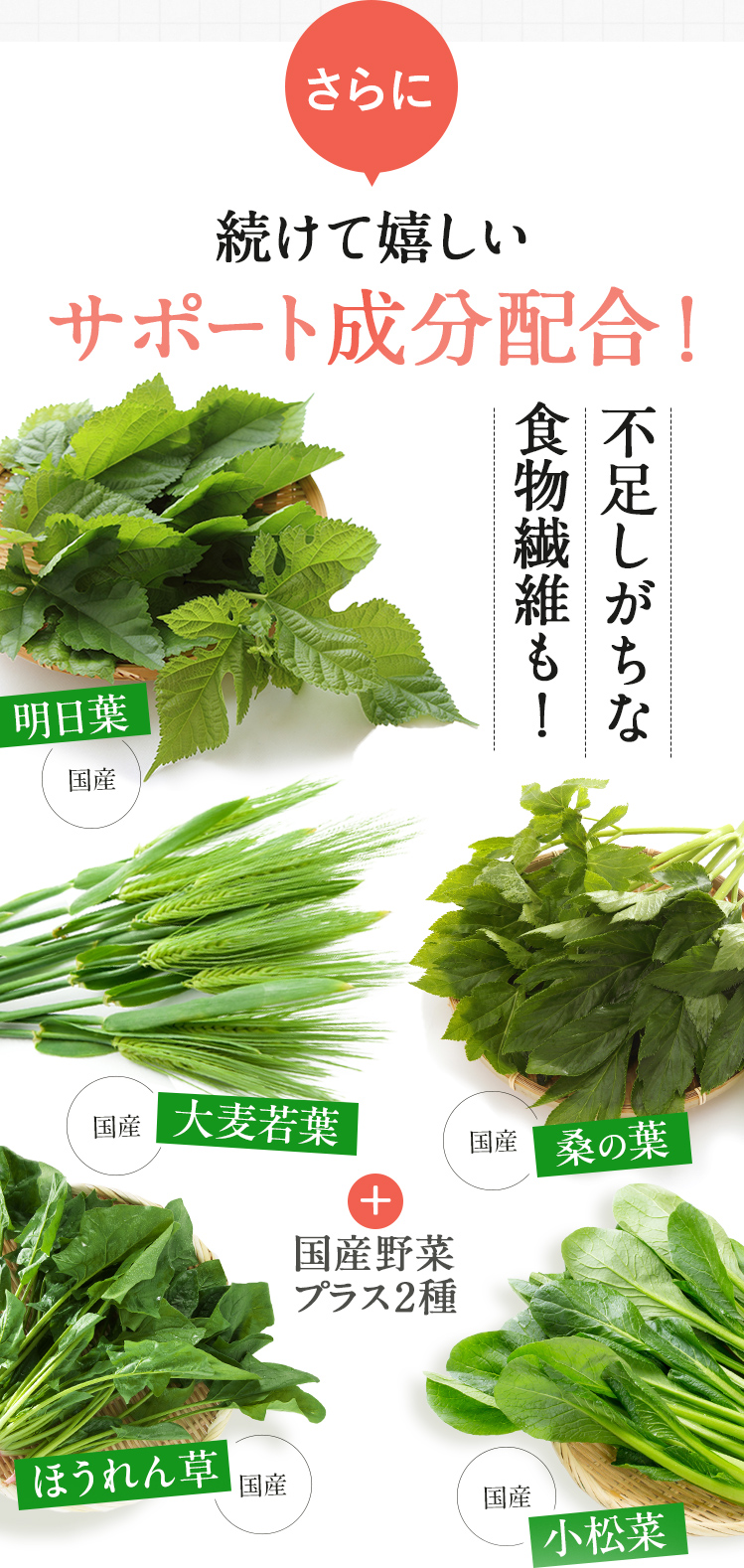 さらに！続けてうれしいサポート成分配合