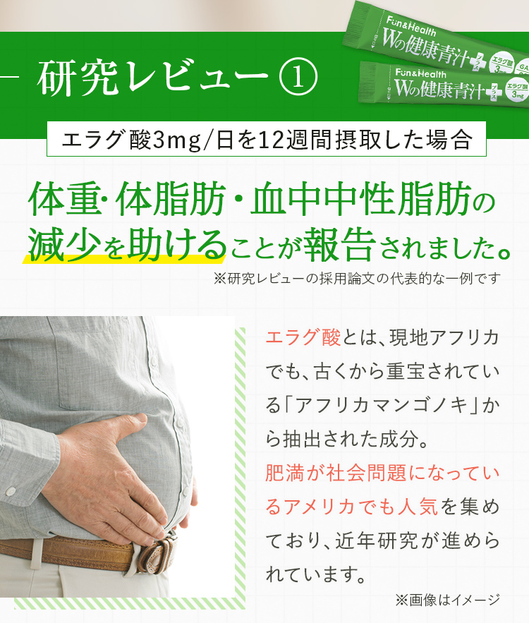 研究レビュー1：エラグ酸