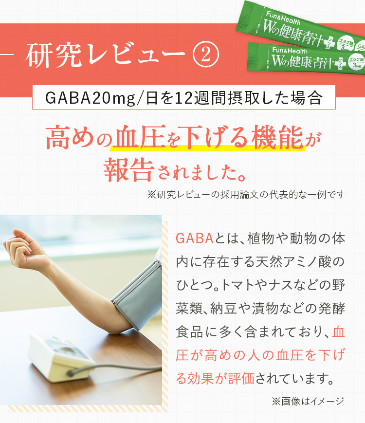 研究レビュー2：GABA