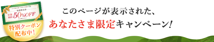 キャンペーン情報