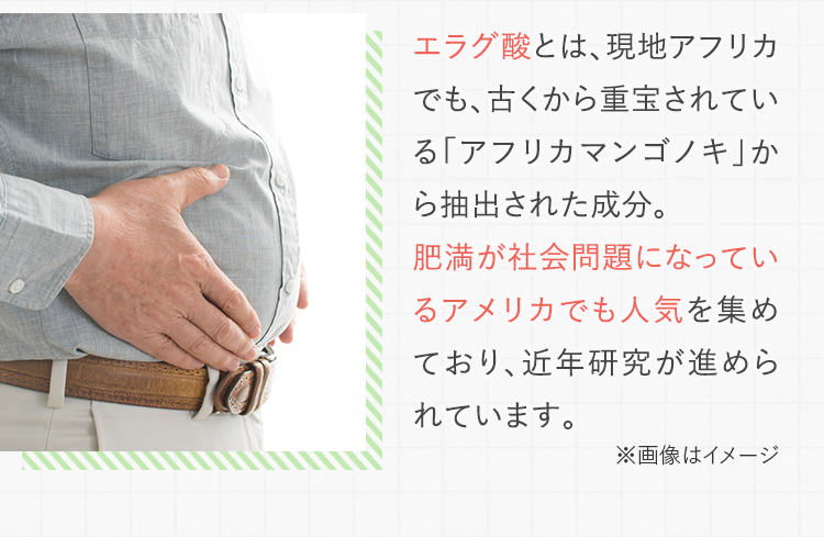 エラグ酸とは、現地アフリカでも、古くから重宝されている「アフリカマンゴノキ」から抽出された成分。肥満が社会問題になっているアメリカでも人気を集めており、近年研究が進められています。