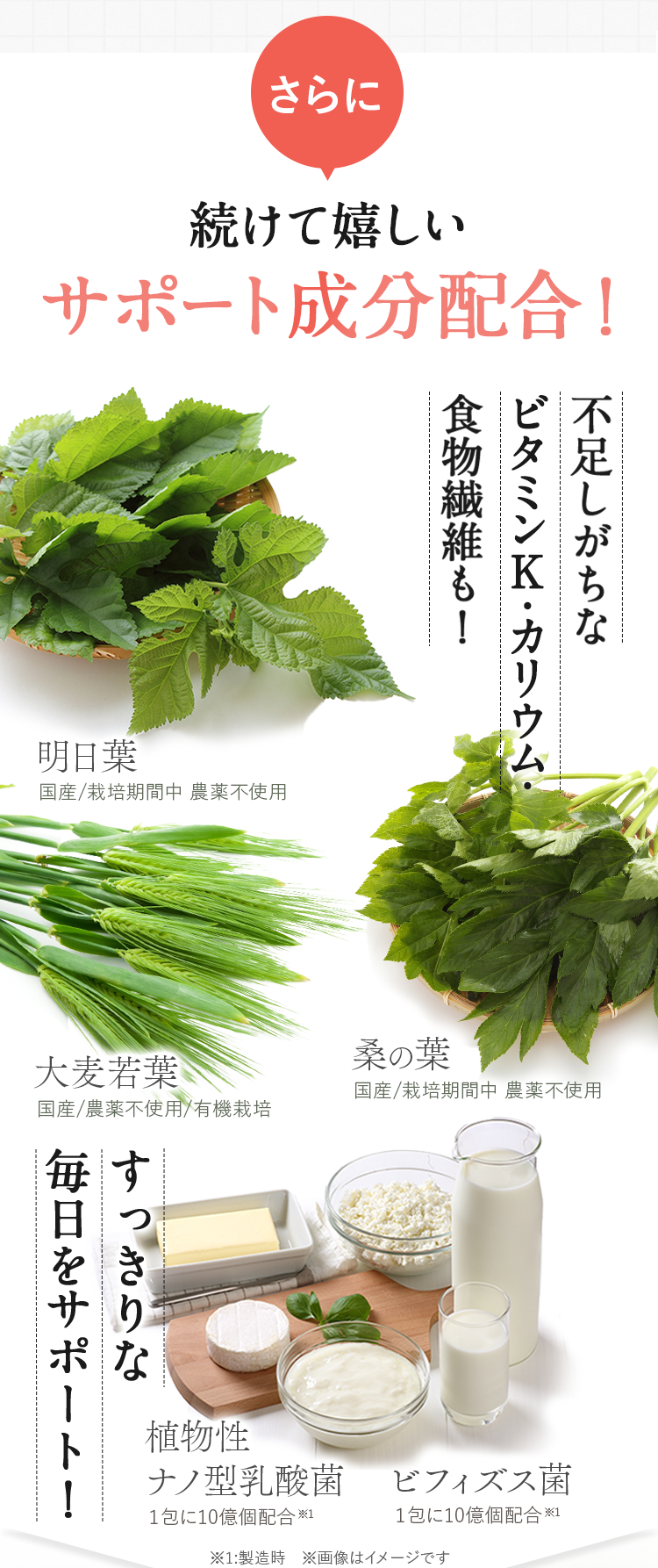さらに続けて嬉しいサポート成分配合！国産大麦若葉・国産明日葉・植物性ナノ型乳酸菌・国産桑の葉
