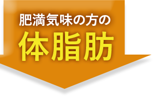 肥満気味の方の体脂肪
