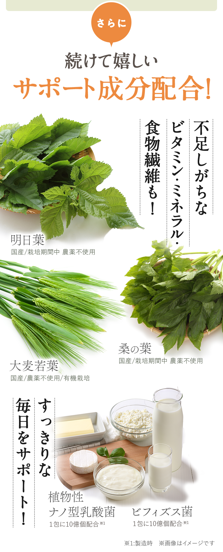 続けて嬉しいサポート成分配合！不足しがちなビタミン・ミネラル・食物繊維も！植物性ナノ型乳酸菌・ビフィズス菌ですっきりな毎日をサポート