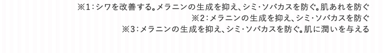 注釈