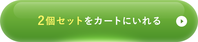 2個セットをカートに入れる