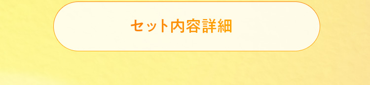 セット内容詳細