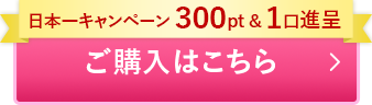 ご購入はこちら