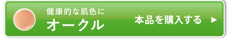 本品+レフィル2個セットのオークルを購入する