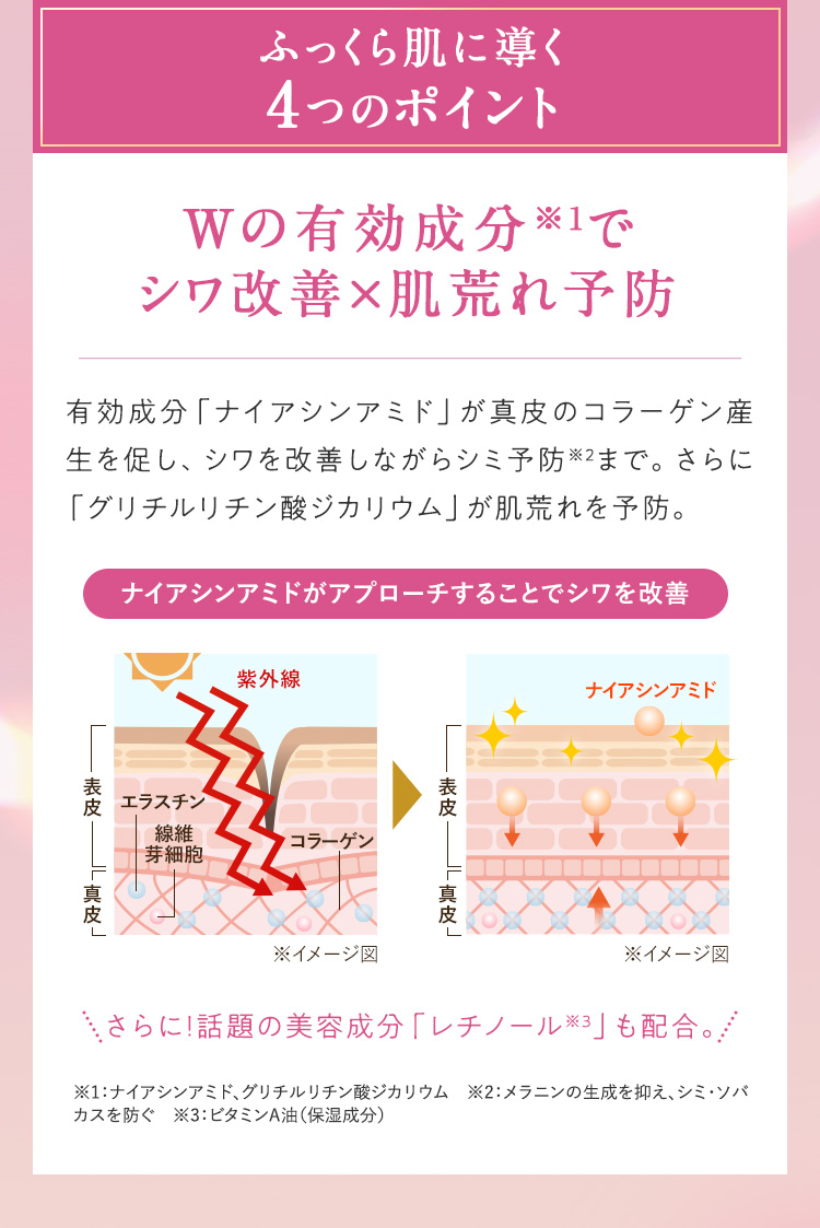 Wの有効成分でシワ改善×肌荒れ予防
