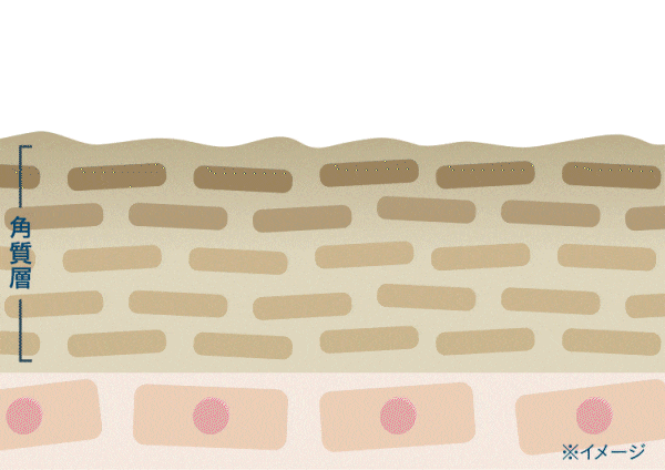 角質gif