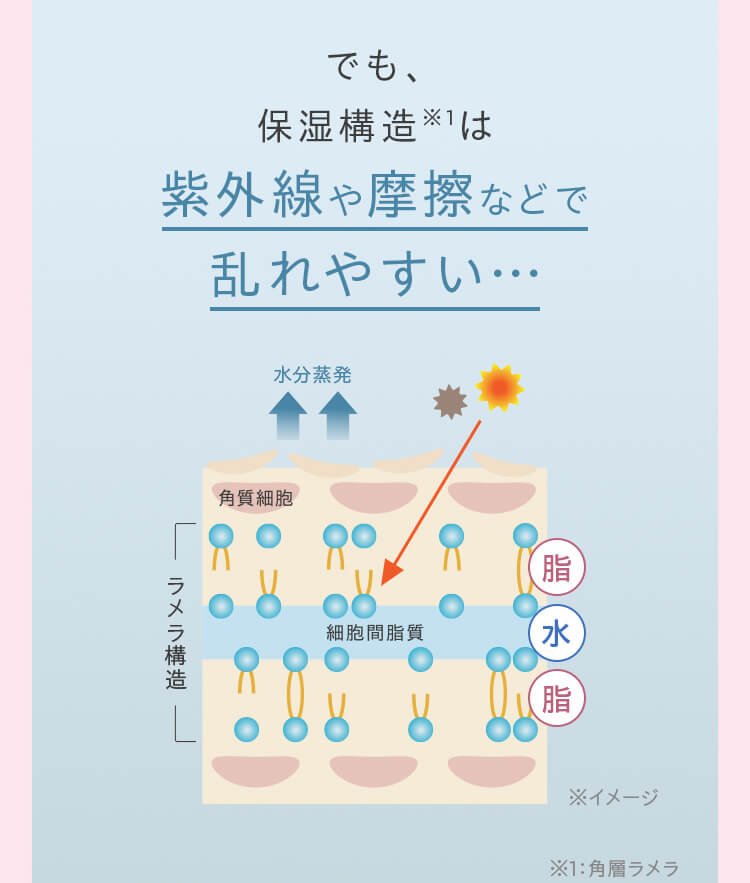 でも、保湿構造は紫外線や摩擦などで乱れやすい…
