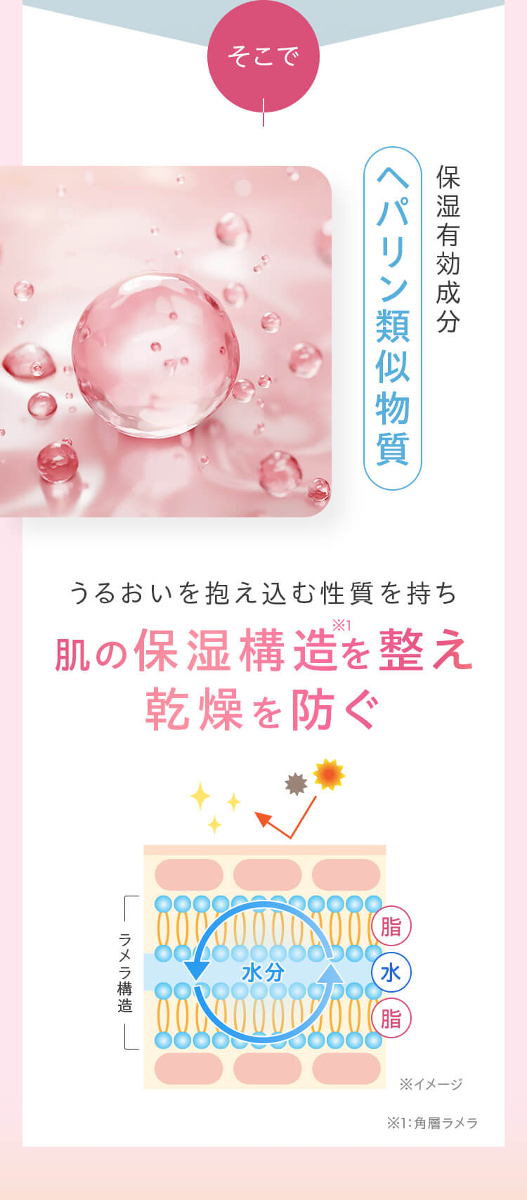そこで、保湿有効成分「ヘパリン類似物質」。うるおいを抱え込む性質を持ち、肌の保湿構造を整え乾燥を防ぐ
