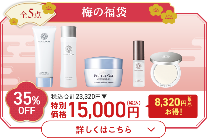 全5点 梅の福袋