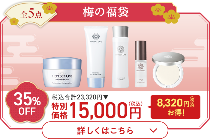 全5点 梅の福袋