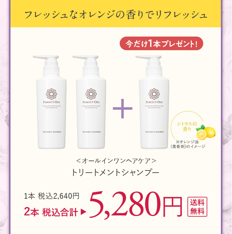 トリートメントシャンプー2本+1本セット 5280円