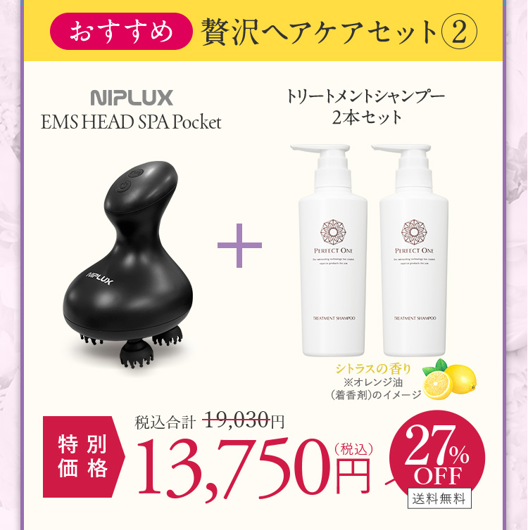 ヘッドスパ+TS2本セット 13750円
