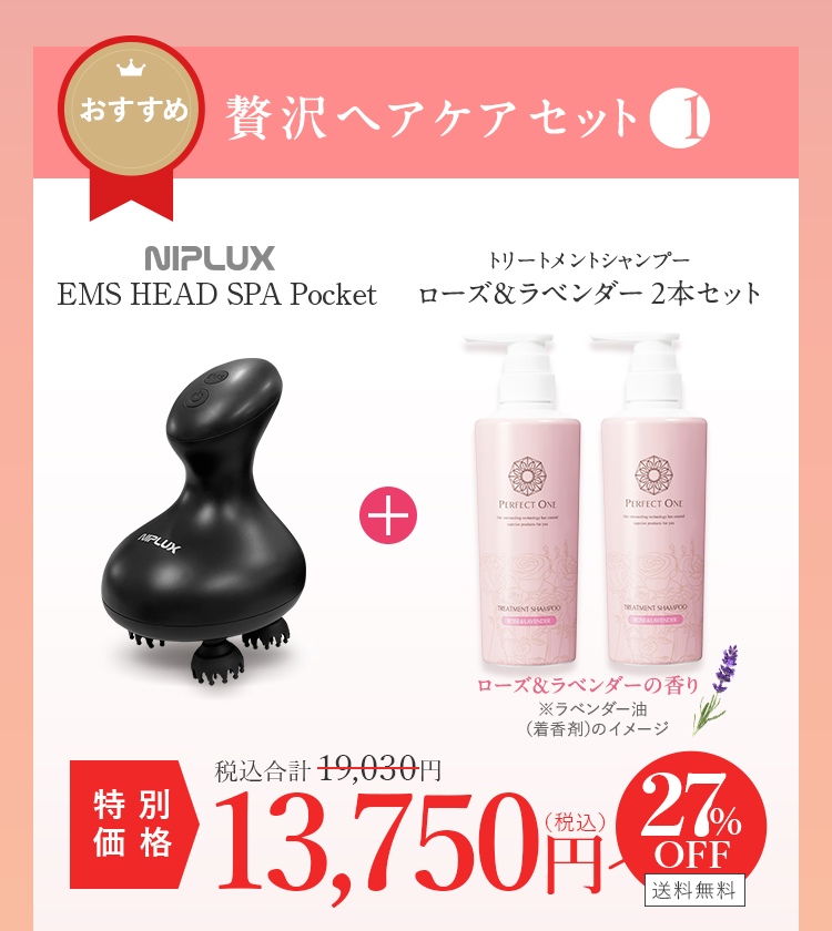 EMSヘッドスパ+TSローズ2本セット 13750円