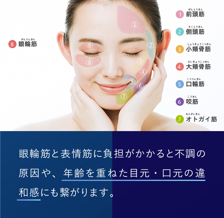 眼輪筋、表情筋