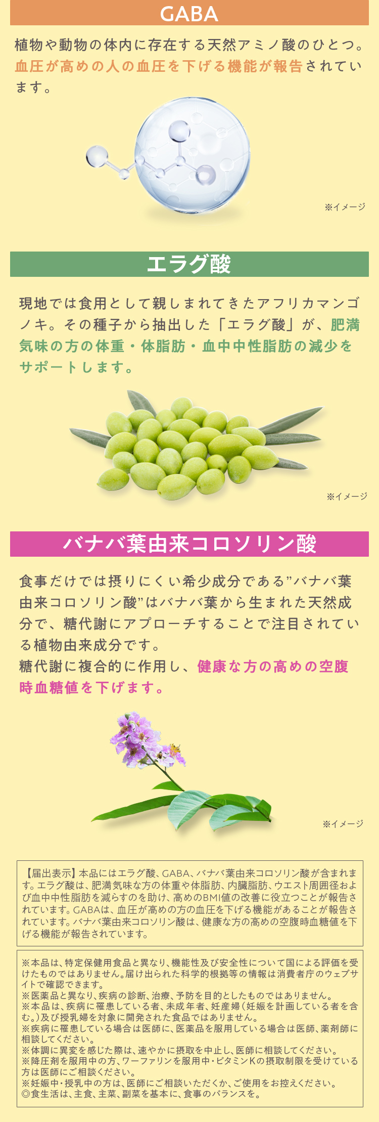 Wの健康青汁 3つの機能性関与成分