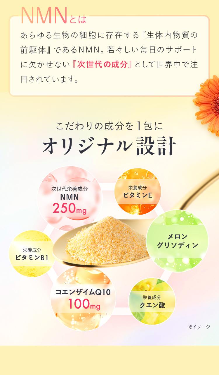 NMNとは