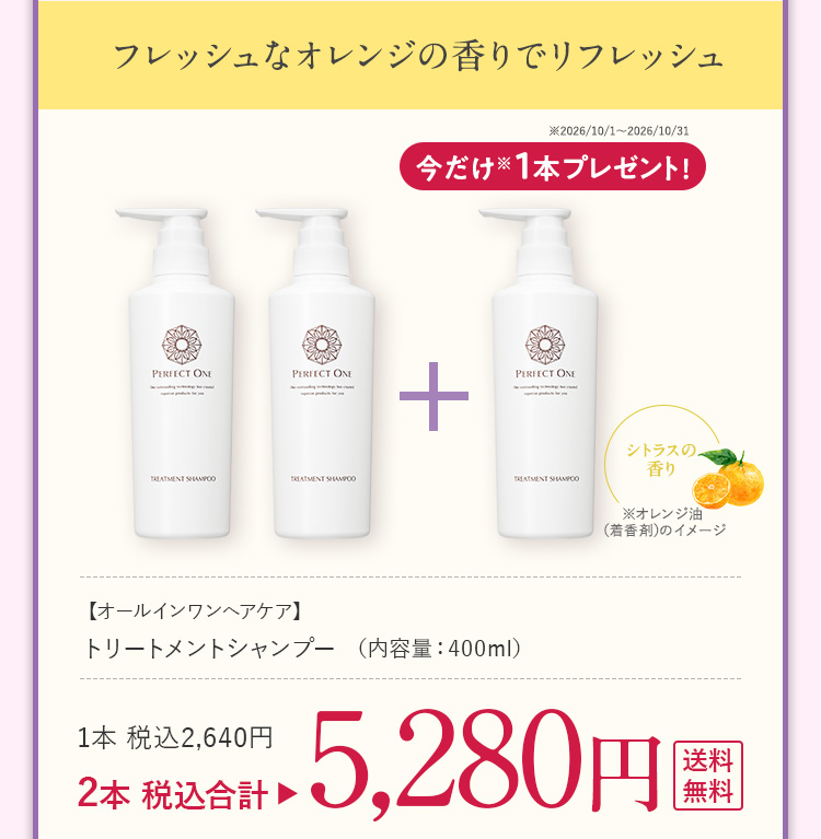 トリートメントシャンプー3本セット 5280円