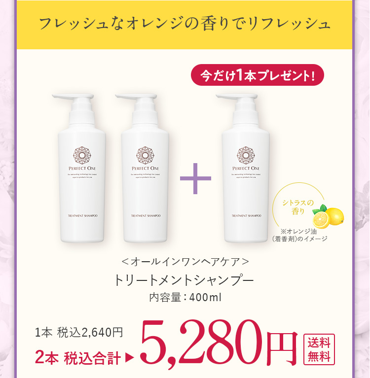 トリートメントシャンプー3本セット 5280円