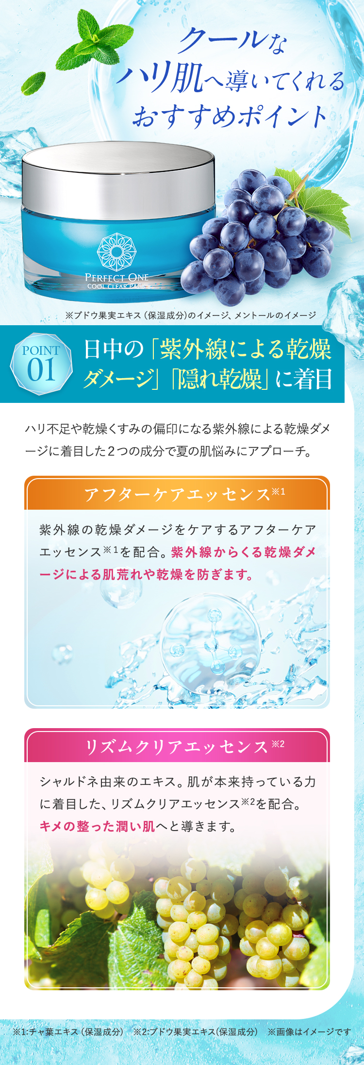 クールなハリ肌へ導いてくれるおすすめポイント