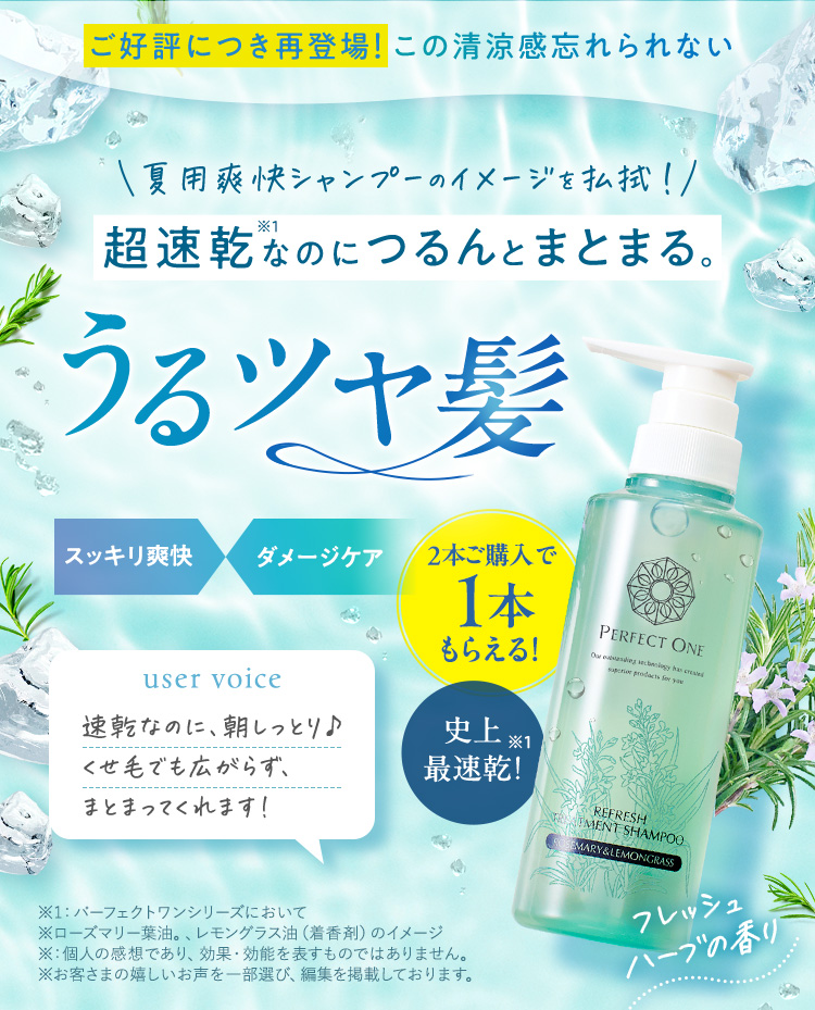 超速乾！なのにつるんとまとまる。うるツヤ髪 | 新日本製薬