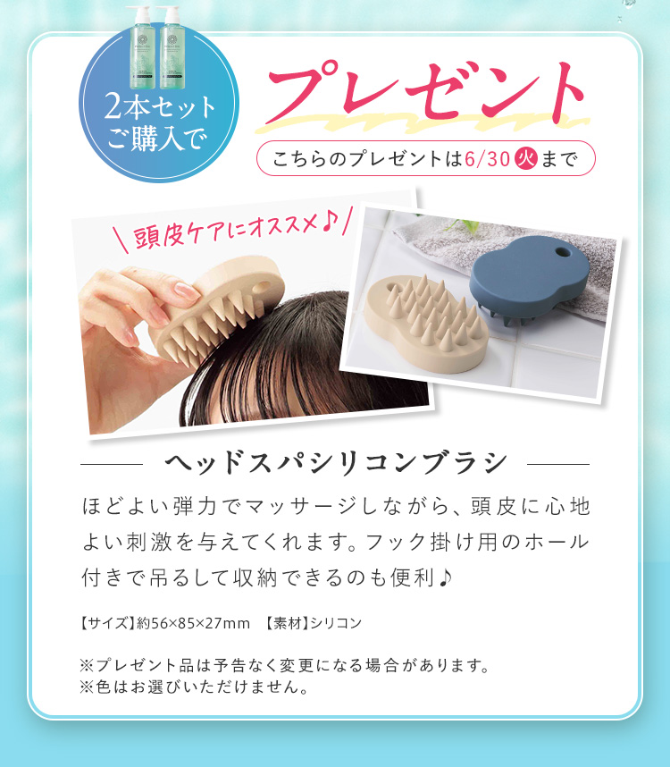2本セット購入で「シリコンブラシ」プレゼント