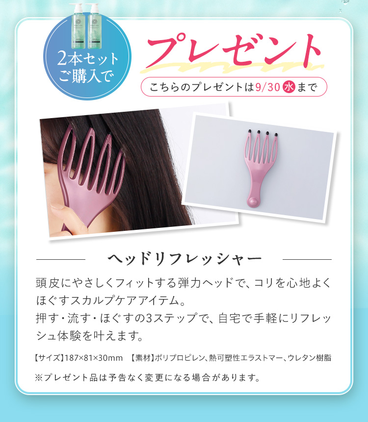 2本セット購入で「シリコンブラシ」プレゼント