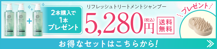 リフレッシュTS3本セット