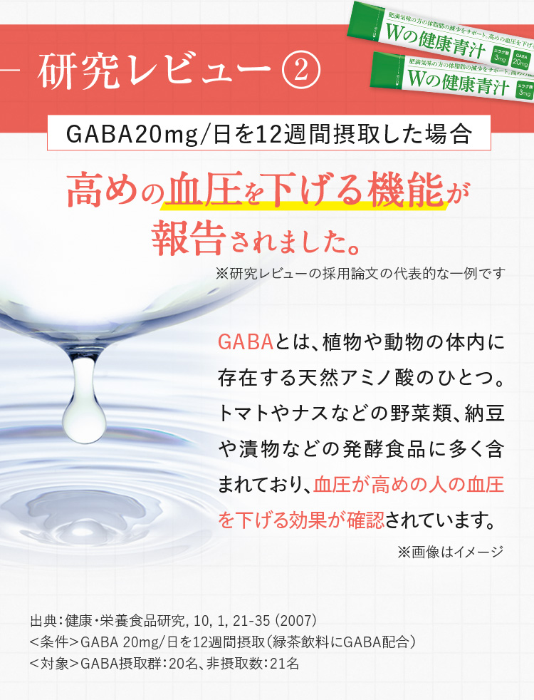 研究レビュー