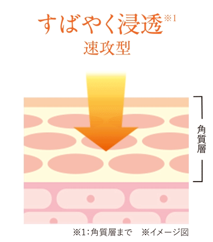 浸透イメージ