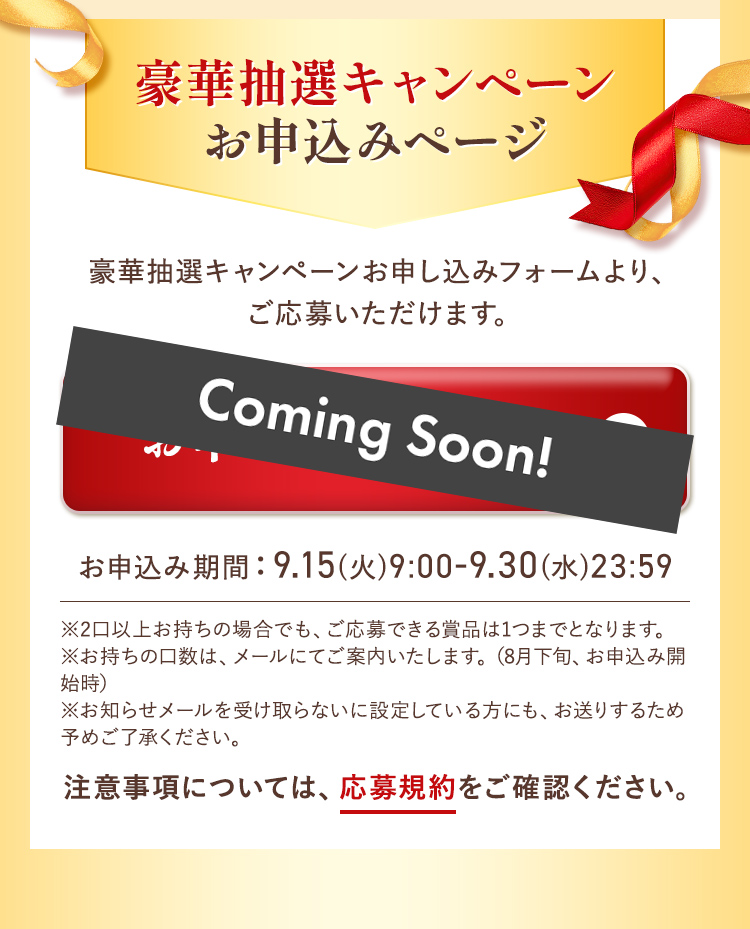 豪華抽選キャンペーンお申し込みページ
