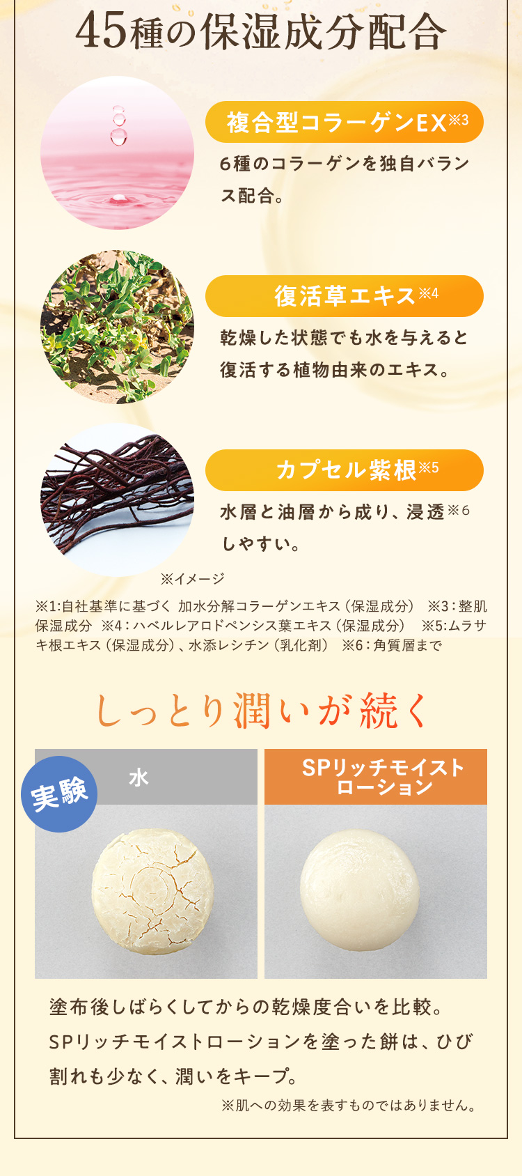 しっとり潤いが続く