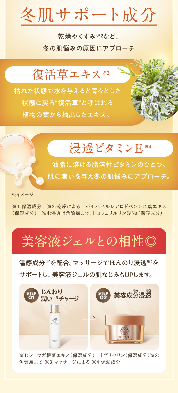 冬肌サポート成分