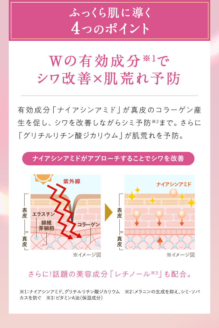 Wの有効成分でシワ改善・肌荒れ予防