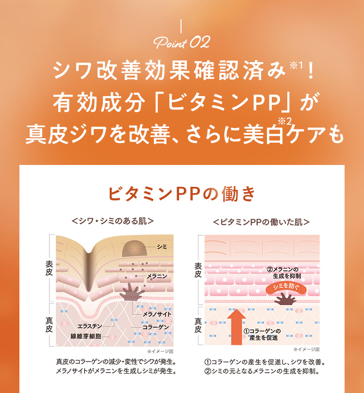 Point02.シワ改善効果確認済み！有効成分「ビタミンPP」が真皮ジワを改善、さらに美白ケアも
