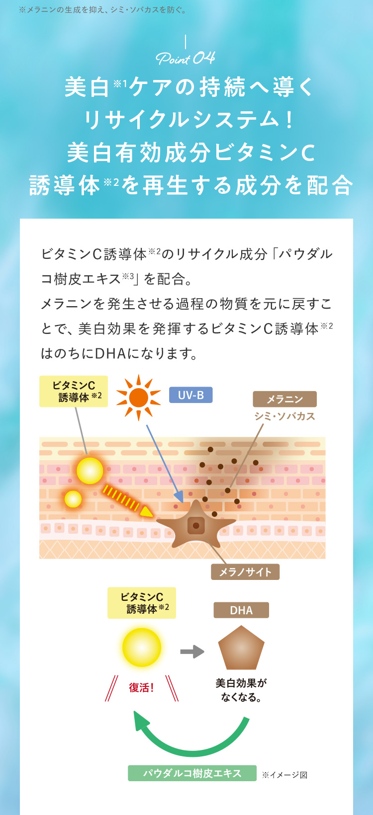 Point04.美白ケアの持続へ導くリサイクルシステム！美白有効成分ビタミンC誘導体を再生する成分を配合